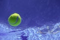 Tennis Summer Concept, Tennis Ball Underwater, Swimming Pool, SummerÃÂ Tennis Camp